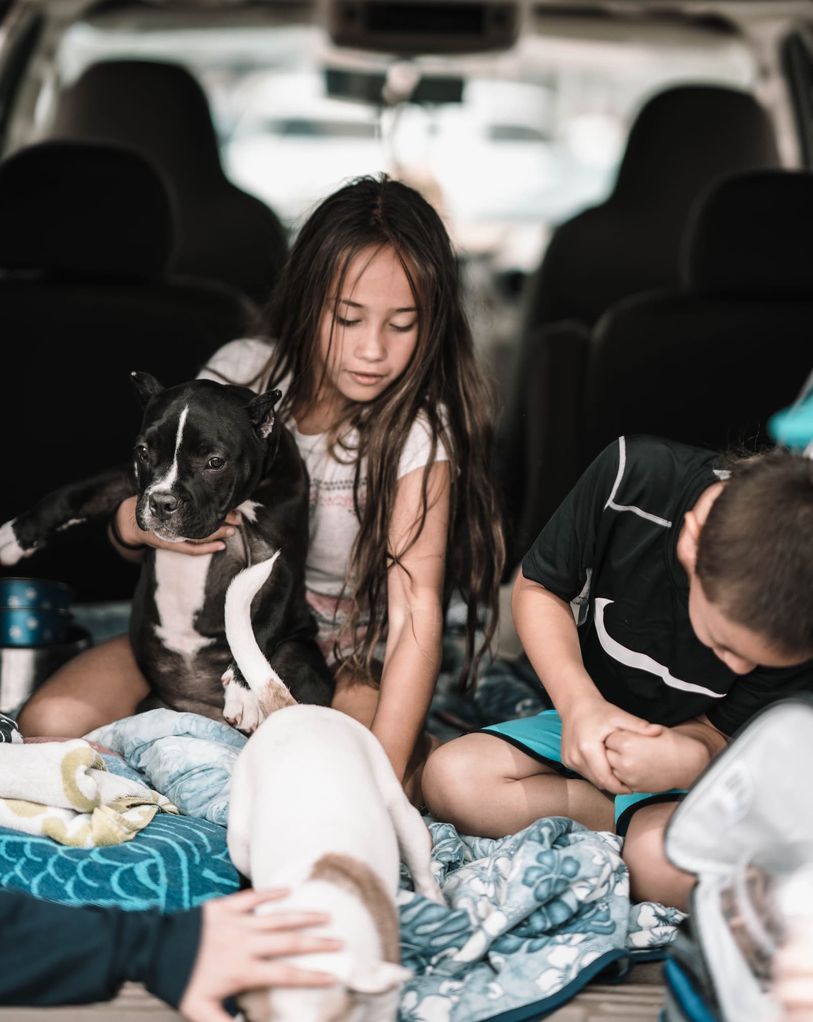Children playing with the family dog outdoors