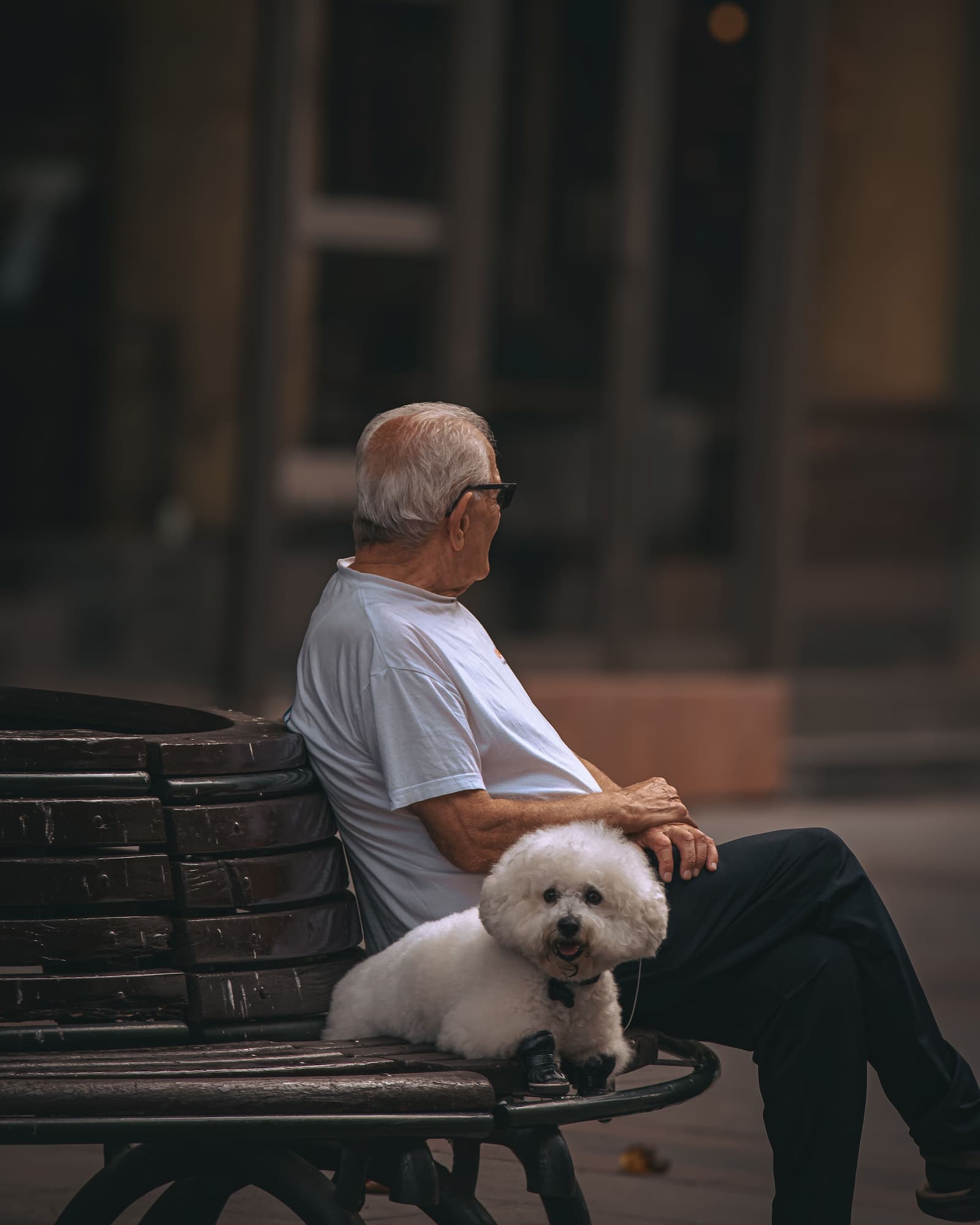 An older adult sitting with a calm companion dog